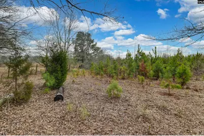 0 Swamp Rabbit Road, Leesville, SC 29070 - Photo 43