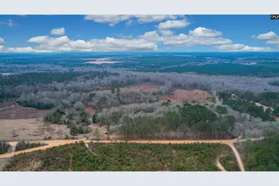 0 Swamp Rabbit Road, Leesville, SC 29070 - Photo 7