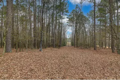 0 Swamp Rabbit Road, Leesville, SC 29070 - Photo 45