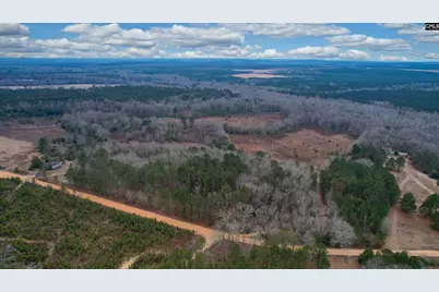 0 Swamp Rabbit Road, Leesville, SC 29070 - Photo 11