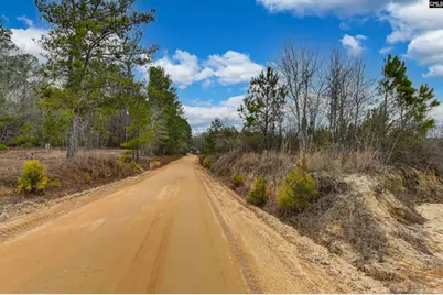 0 Swamp Rabbit Road, Leesville, SC 29070 - Photo 49