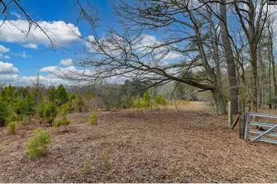 0 Swamp Rabbit Road, Leesville, SC 29070 - Photo 41