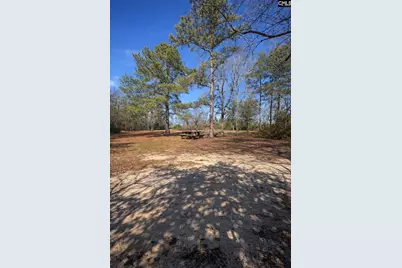 128 River Ridge Way, Sandy Run, SC 29160 - Photo 3