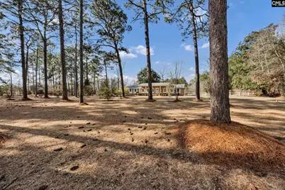 1064 Calks Ferry Road, Lexington, SC 29072 - Photo 29