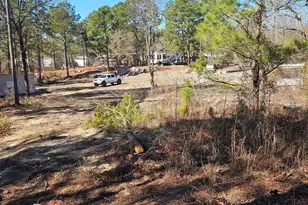 257 Irvin Jumper Rd, Gaston, SC 29053 - Photo 3