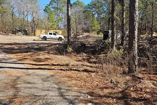 257 Irvin Jumper Rd, Gaston, SC 29053 - Photo 1