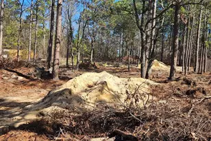 257 Irvin Jumper Rd, Gaston, SC 29053 - Photo 5