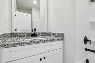 159 Sundew Rd, Elgin, SC 29045 - Photo 9