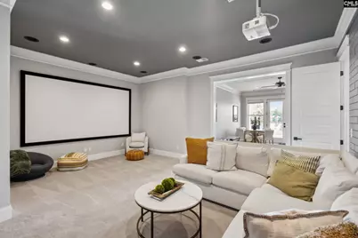 249 Pointe Overlook Drive, Chapin, SC 29036 - Photo 29