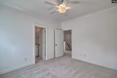 820 Elms Spinney Lane, Chapin, SC 29036 - Photo 39