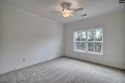 820 Elms Spinney Lane, Chapin, SC 29036 - Photo 35