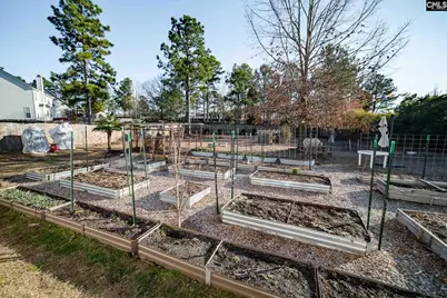 25 Mason Ridge Court, Columbia, SC 29229 - Photo 33