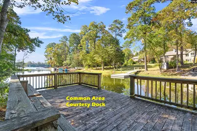 208 Lakeside Drive, Chapin, SC 29036 - Photo 49