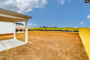 617 Clementine Run, Gilbert, SC 29054 - Photo 13