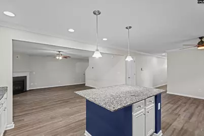 58 Mayapple Drive, Lexington, SC 29073 - Photo 11