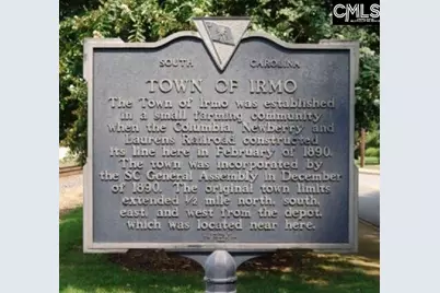 119 Locomotive (Lot 12) Lane, Irmo, SC 29063 - Photo 39