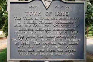 119 Locomotive Ln Lot 12, Irmo, SC 29063 - Photo 39