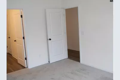 119 Locomotive (Lot 12) Lane, Irmo, SC 29063 - Photo 9