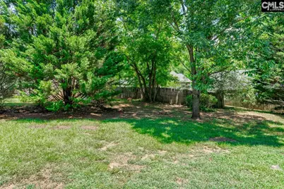 4 Saints Creek Place, Irmo, SC 29063 - Photo 33