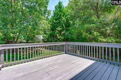 4 Saints Creek Place, Irmo, SC 29063 - Photo 31