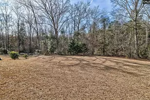 335 Saucer Wy, Chapin, SC 29036 - Photo 9