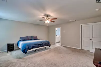 335 Saucer Way, Chapin, SC 29036 - Photo 33