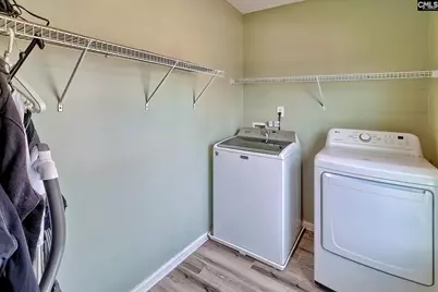 335 Saucer Way, Chapin, SC 29036 - Photo 41
