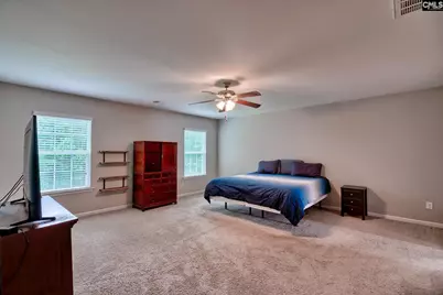 335 Saucer Way, Chapin, SC 29036 - Photo 31