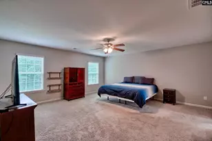 335 Saucer Wy, Chapin, SC 29036 - Photo 31