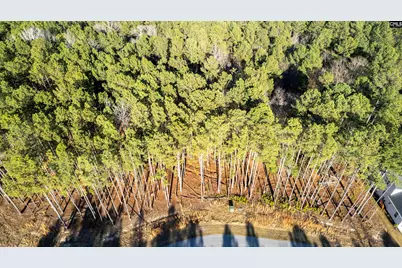 Lot 83 Timber Trail Lane, Prosperity, SC 29217 - Photo 1