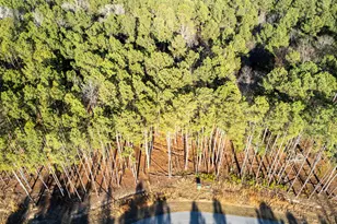 Lot 83 Timber Trail Ln, Prosperity, SC 29217 - Photo 1