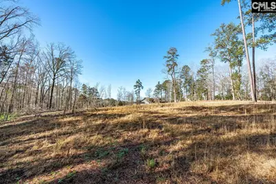 0 Bogater Road #57-61, Chapin, SC 29036 - Photo 7