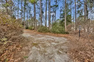 1 N Lake Pointe Dr, Columbia, SC 29229 - Photo 29
