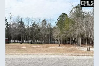 413 Blue Artesian Way 413, Lexington, SC 29073 - Photo 45