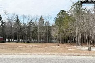 413 Blue Artesian Way 413, Lexington, SC 29073 - Photo 45