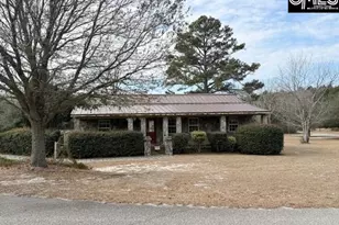 413 Blue Artesian Way 413, Lexington, SC 29073 - Photo 49