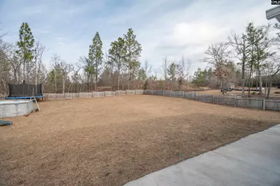 413 Blue Artesian Way 413, Lexington, SC 29073 - Photo 37