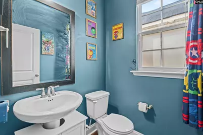 521 Fourteen Mile Lane, Lexington, SC 29072 - Photo 19