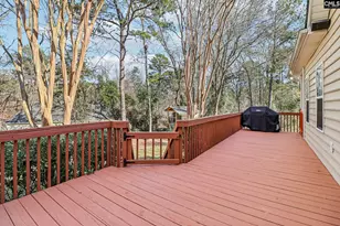 6 Blythewood Point Ct, Blythewood, SC 29016 - Photo 41