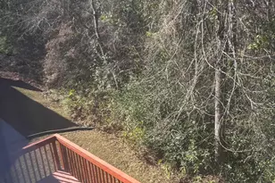 142 Heises Pond Way, Columbia, SC 29229 - Photo 19