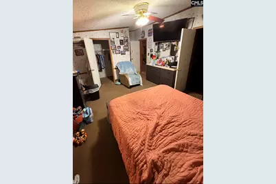 165 Landfill Lane, Lexington, SC 29073 - Photo 11