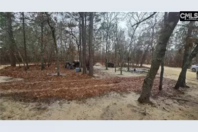 165 Landfill Lane, Lexington, SC 29073 - Photo 5