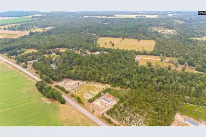 6597 Wagener Road, Wagener, SC 29164 - Photo 37