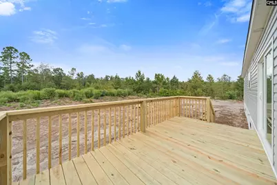 6597 Wagener Road, Wagener, SC 29164 - Photo 27