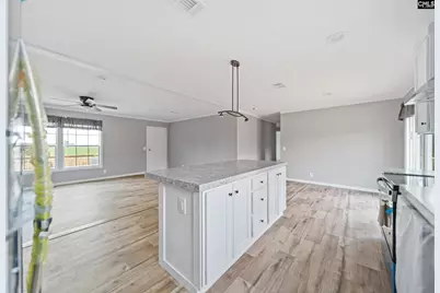 6597 Wagener Road, Wagener, SC 29164 - Photo 9