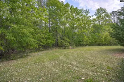 116 Mud Pie Drive, Leesville, SC 29070 - Photo 11