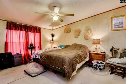 126 Airport Road, Wagener, SC 29164 - Photo 9