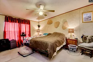 126 Airport Rd, Wagener, SC 29164 - Photo 9