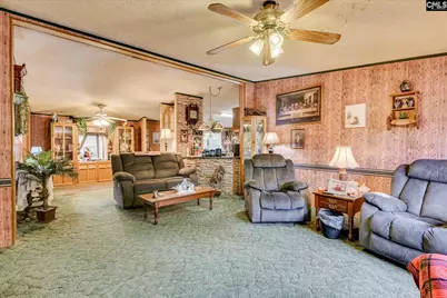 126 Airport Road, Wagener, SC 29164 - Photo 3