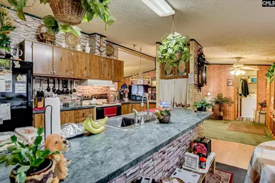 126 Airport Road, Wagener, SC 29164 - Photo 7